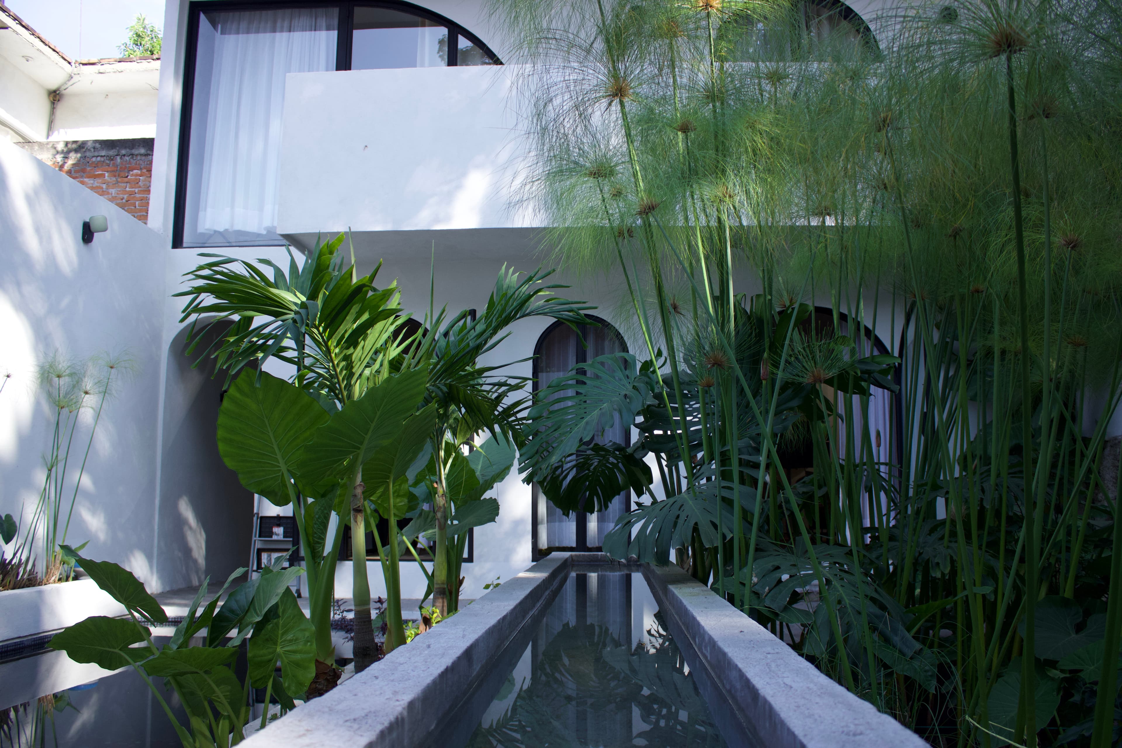 Casa Eladia — garden